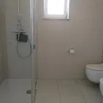 Apartment Irena Cres